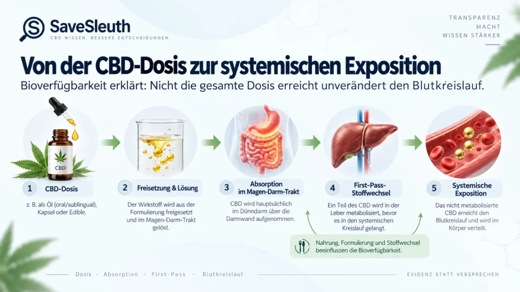 CBD-Bioverfügbarkeit von der Dosis über Magen-Darm-Absorption und First-Pass-Stoffwechsel bis zur systemischen Exposition